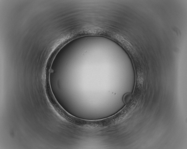 X0000112940630200909071055