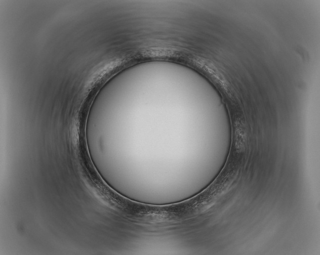 X0000112940631200909071055