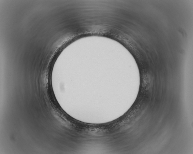 X0000112940632200909071055