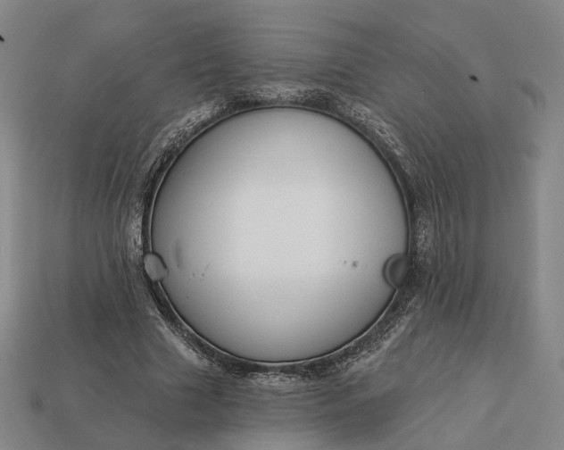 X0000112940633200909071055