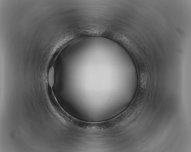 X0000112940634200909071055