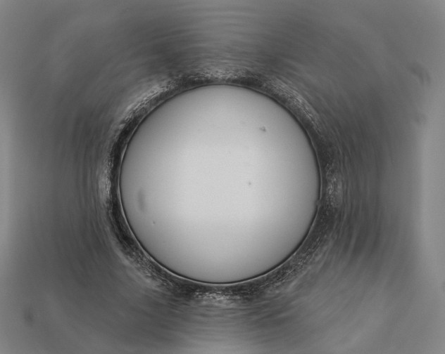 X0000112940635200909071055