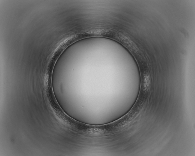 X0000112940636200909071055