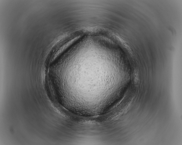 X0000112940637200909071055