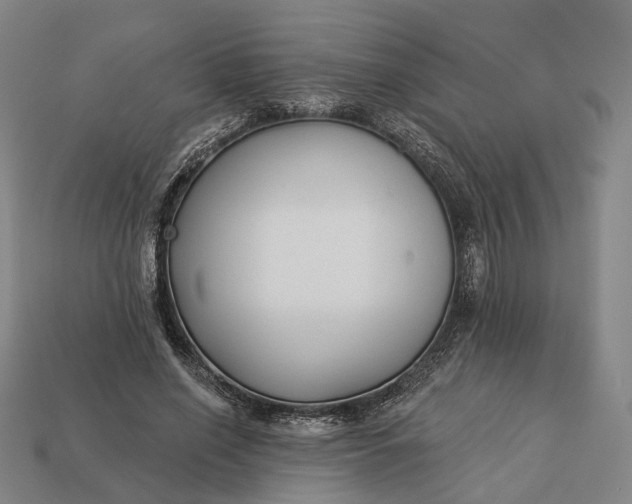 X0000112940638200909071055