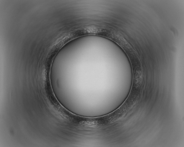 X0000112940639200909071055