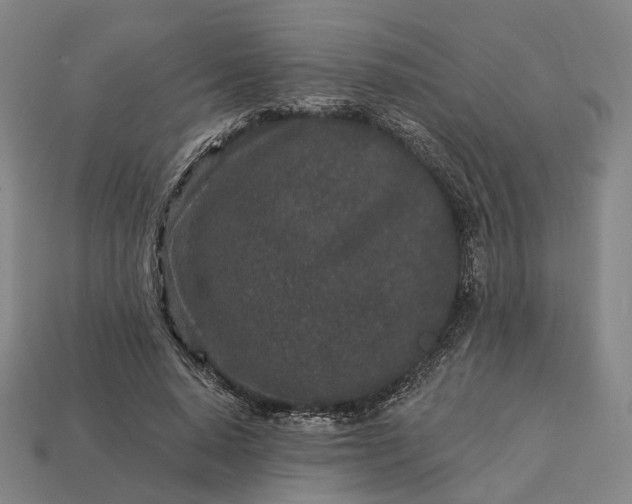 X0000112940640200909071055