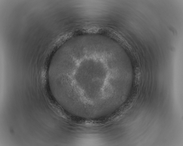 X0000112940641200909071055