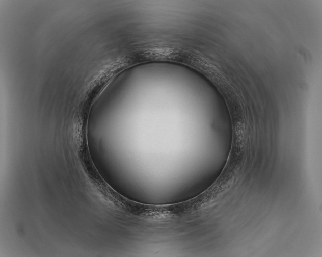 X0000112940642200909071055