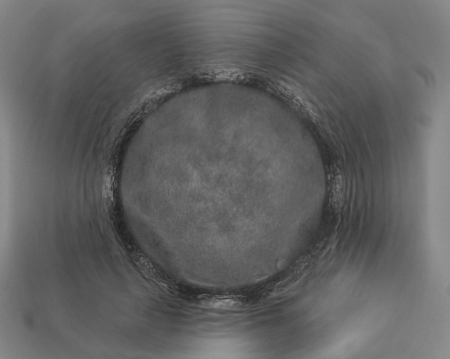 X0000112940643200909071055