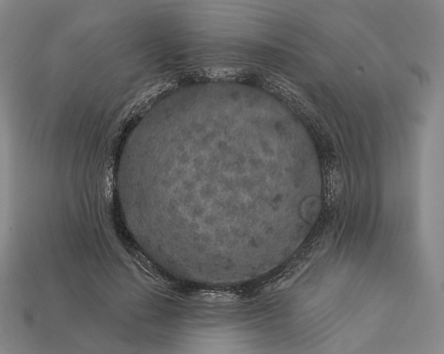 X0000112940644200909071055