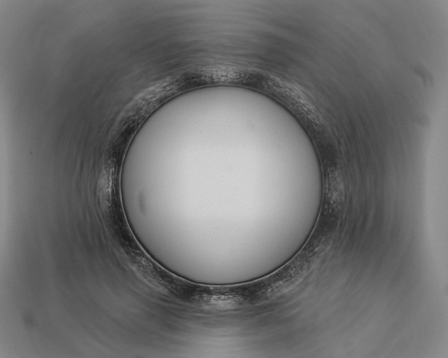 X0000112940645200909071055