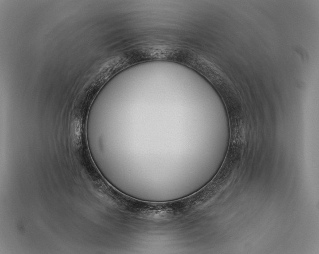 X0000112940646200909071055