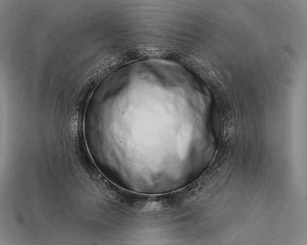 X0000112940647200909071055