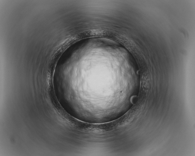 X0000112940648200909071055