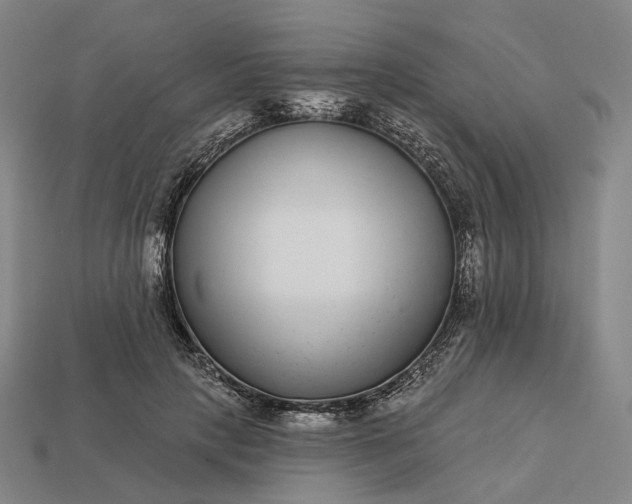 X0000112940649200909071055