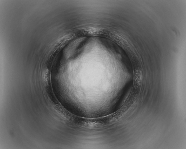 X0000112940650200909071055