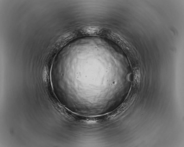 X0000112940651200909071055