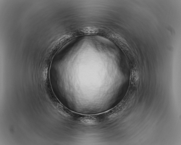 X0000112940652200909071055