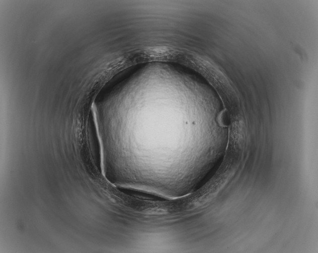 X0000112940653200909071055