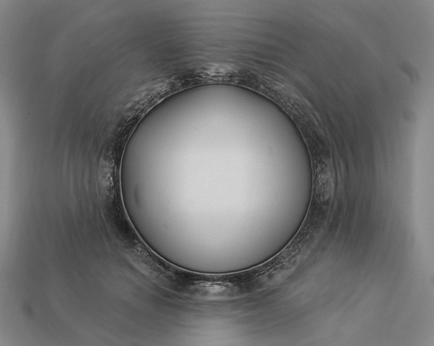 X0000112940654200909071055