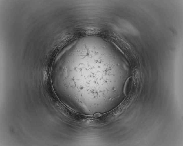 X0000112940655200909071055