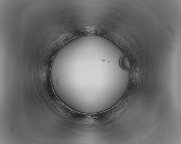 X0000112940656200909071055