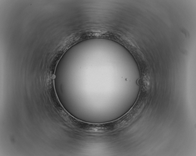 X0000112940657200909071055