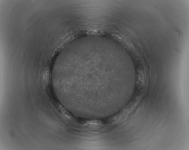 X0000112940659200909071056