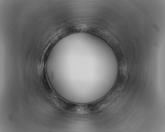 X0000112940660200909071056