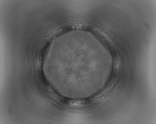 X0000112940661200909071056