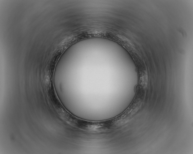 X0000112940662200909071056