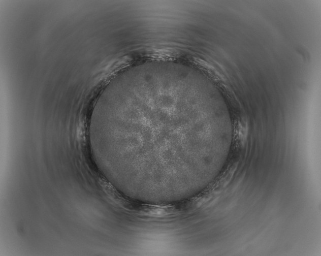 X0000112940663200909071056