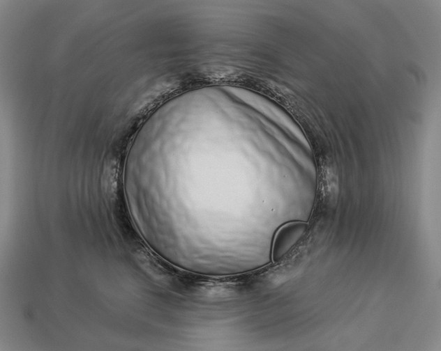 X0000112940664200909071056