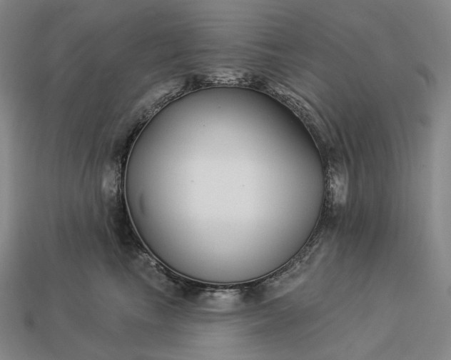 X0000112940665200909071056