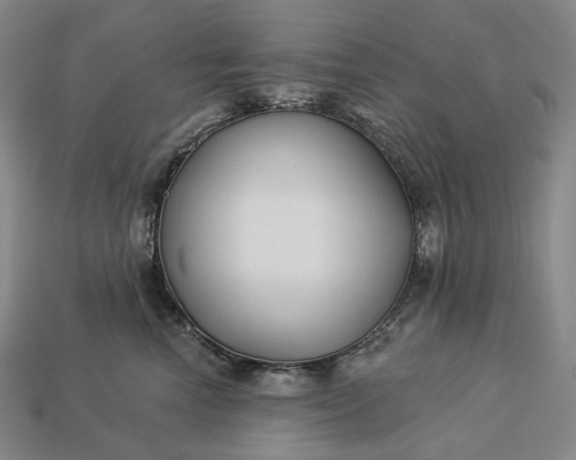 X0000112940666200909071056