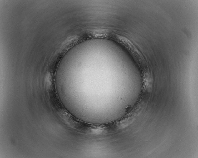 X0000112940667200909071056