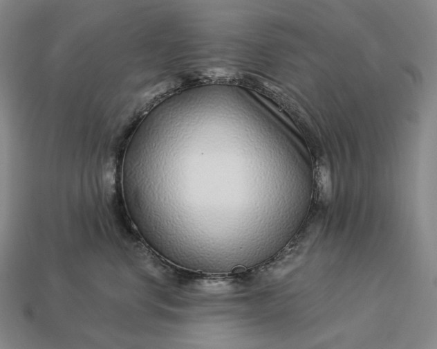 X0000112940668200909071056