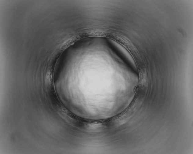 X0000112940669200909071056