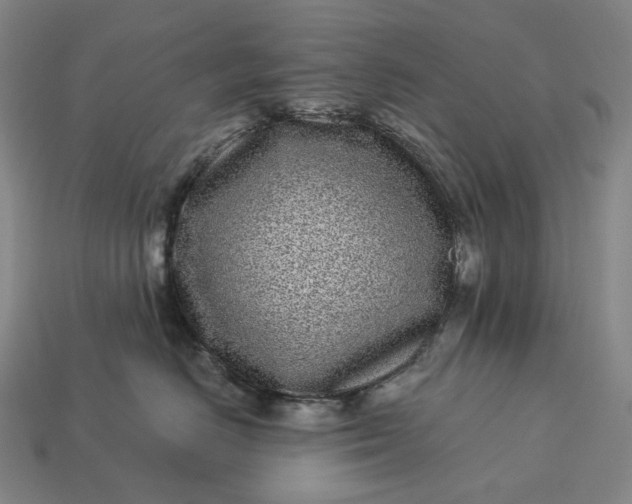 X0000112940670200909071056