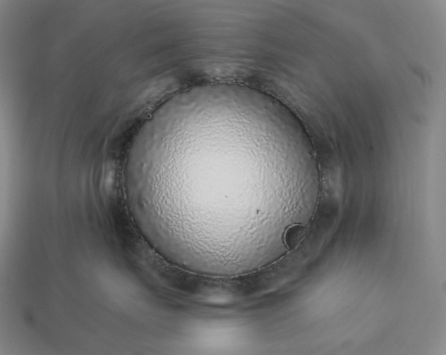 X0000112940671200909071056