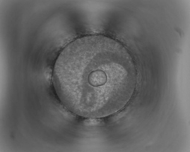 X0000112940672200909071056