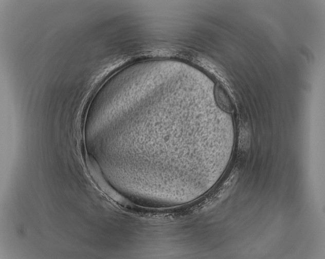 X0000112940673200909071055