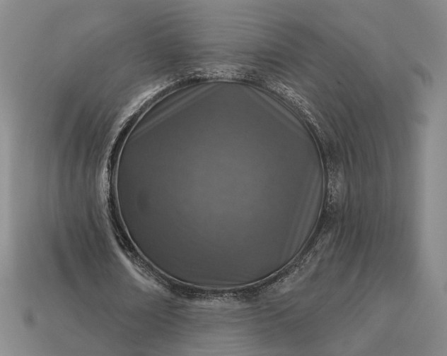 X0000112940674200909071055