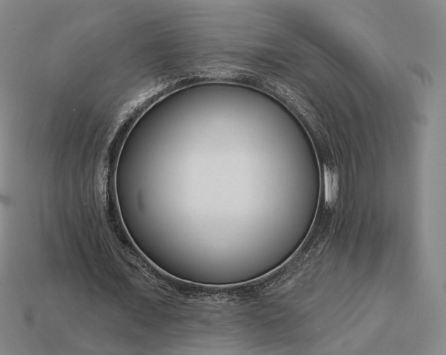 X0000112940675200909071055