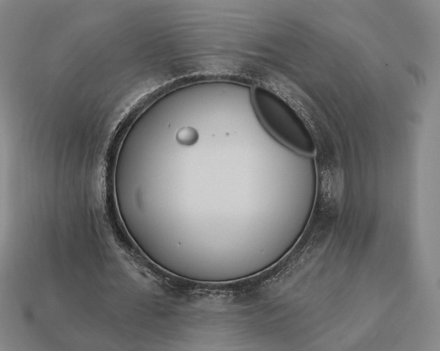 X0000112940676200909071055