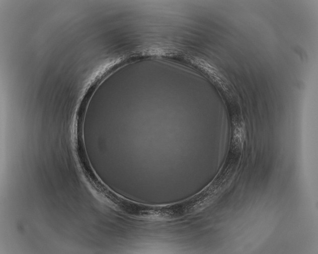 X0000112940678200909071055