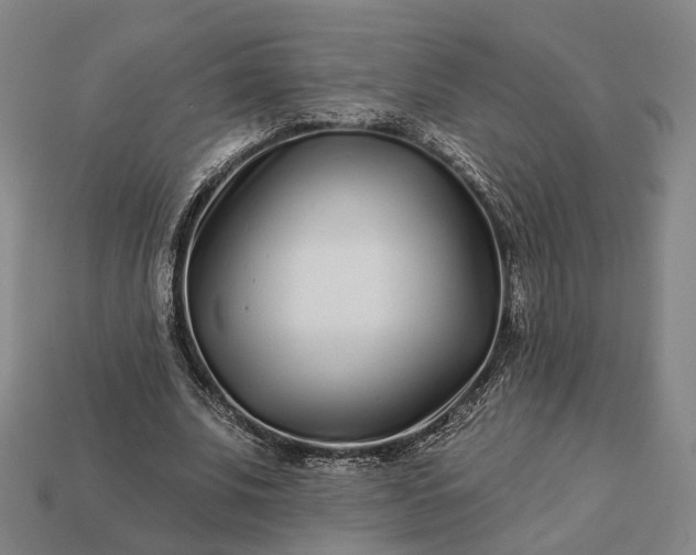 X0000112940679200909071055