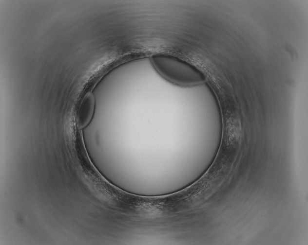 X0000112940680200909071055