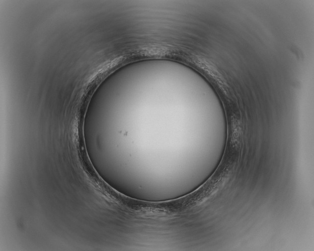 X0000112940681200909071055